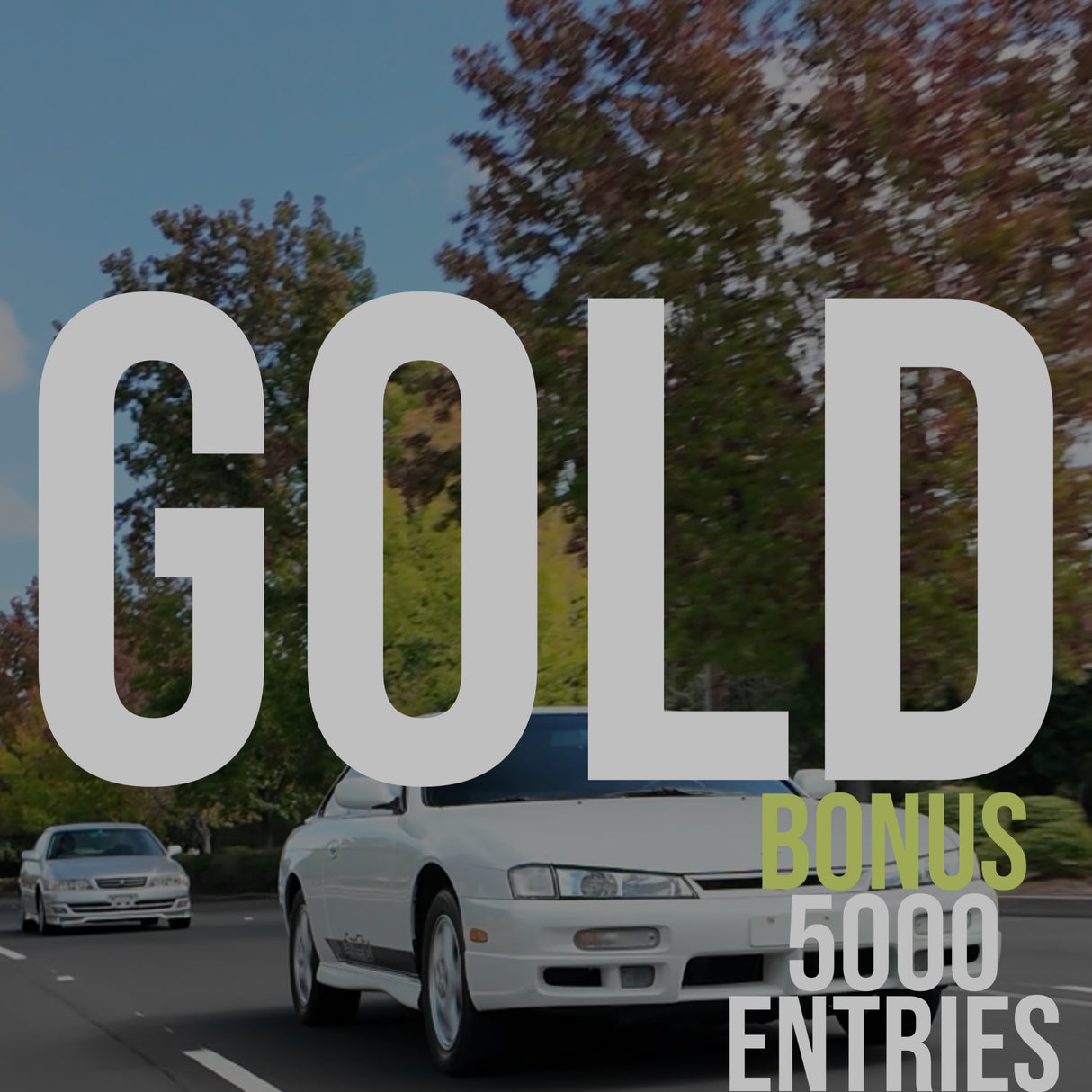 5,300 Entries for $300 (Bonus Applied)