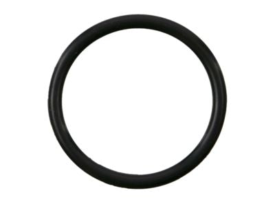 21049-AE000 Nissan Water Inlet O-Ring Product Photo 1 of 2