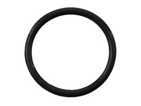 21049-AE000 Nissan Water Inlet O-Ring Product Photo 1 of 2