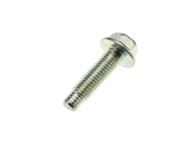 081A6-8251A Nissan Water Pump Bolt Product Photo 1 of 1