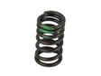 13203-JK21A Nissan Valve Springs Product Photo 1 of 1
