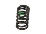13203-JK21A Nissan Valve Springs Product Photo 1 of 1