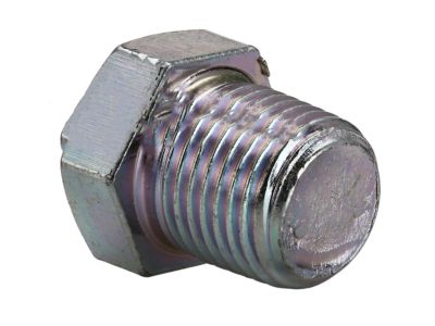 08931-3021A Nissan Blind Plug Product Photo 1 of 1