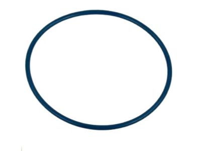 17342-CE800 Nissan Fuel Pump Seal Product Photo 2 of 3