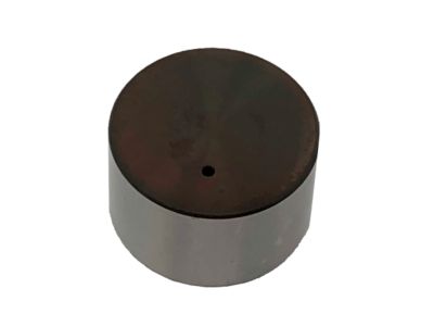 13231-EY04D Nissan Lifter-Valve Product Photo 1 of 1