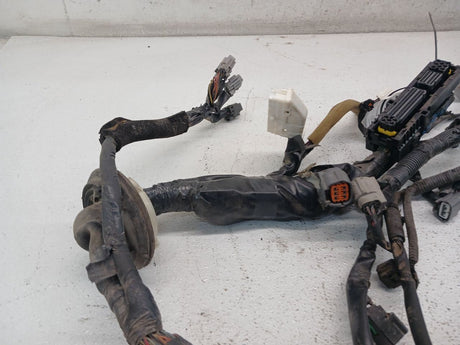 03-04 NISSAN 350Z A/T Engine Wire Harness OEM 24011-CD010