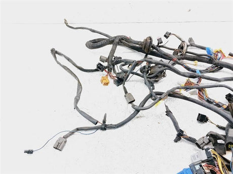 1986 Nissan 300ZX Z31 Headlamp Wiring Harness N/A T-Top 2+2