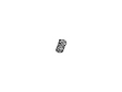 13203-CD000 Nissan Valve Springs Illustration 1 of 1