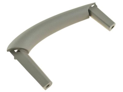 80978-CD001 Nissan Grip Handle Product Photo 1 of 4