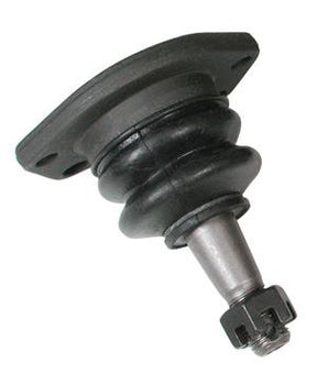 Photo - Primary