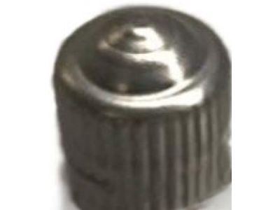 40703-CD001 Nissan Tpms Sensor Cap Product Photo 1 of 2