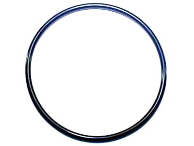 21049-JK20A Nissan Seal Ring Product Photo 1 of 1