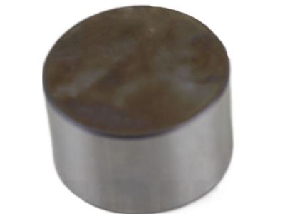 13231-EY01D Nissan Lifter-Valve Product Photo 1 of 2