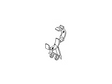 24220-0E020 Nissan Hose Clamp Illustration 1 of 1