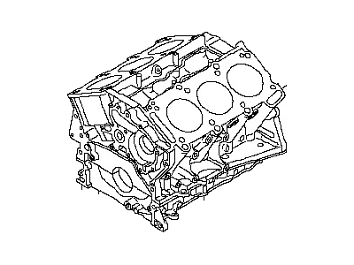11000-EY00A Nissan Service File Cylinder Block Illustration 1 of 1