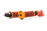 2001-2005 Acura RSX DT-P Coilovers (Final Sale)