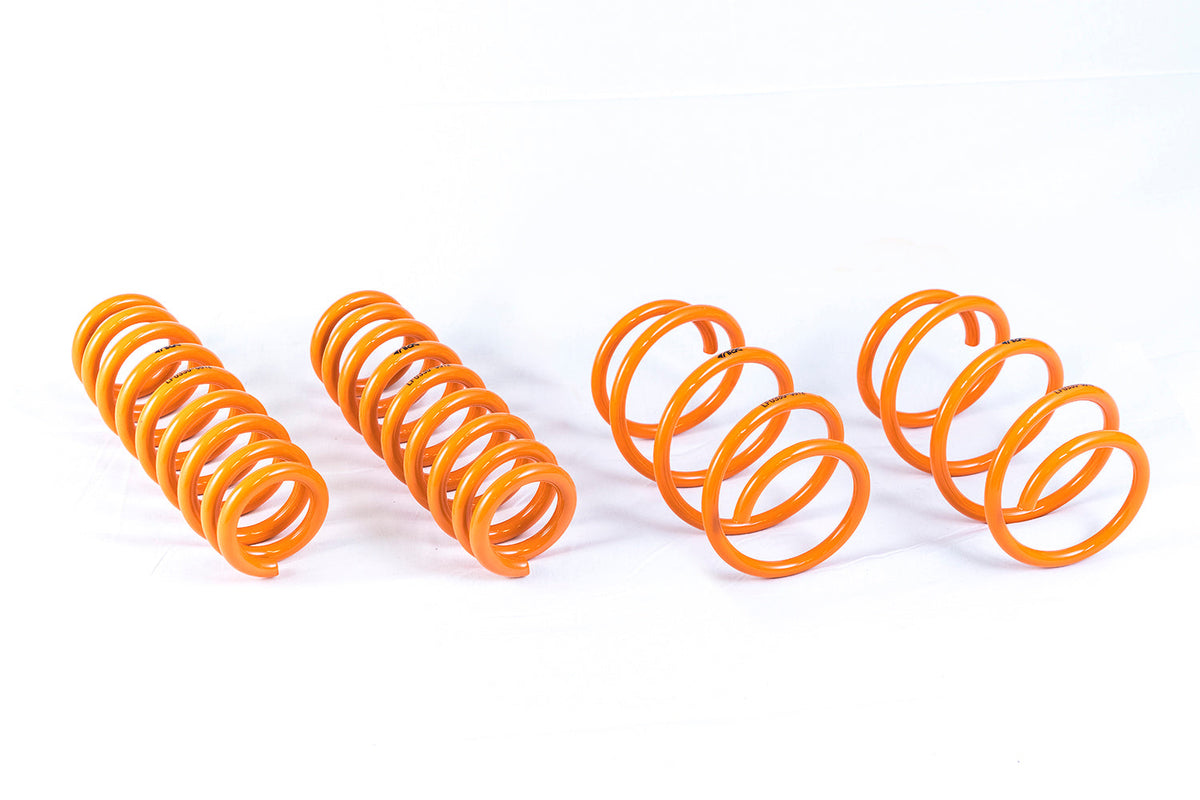 2012-2019 BMW 3 Series | 4 Series GT-F Lowering Springs (Clearance Item)