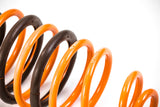 2005-2007 Chevrolet Cobalt GT-F Lowering Springs (Clearance Item)