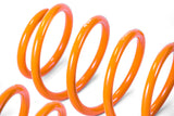 2011-2016 Honda CRZ GT-F Lowering Springs (Clearance Item)