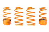 2009-2014 Honda Fit GT-F Lowering Springs (Overstock Item)