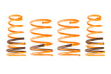 2003-2008 Hyundai Tiburon GT-F Lowering Springs (Clearance Item)