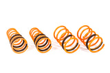 2003-2008 Hyundai Tiburon GT-F Lowering Springs (Clearance Item)