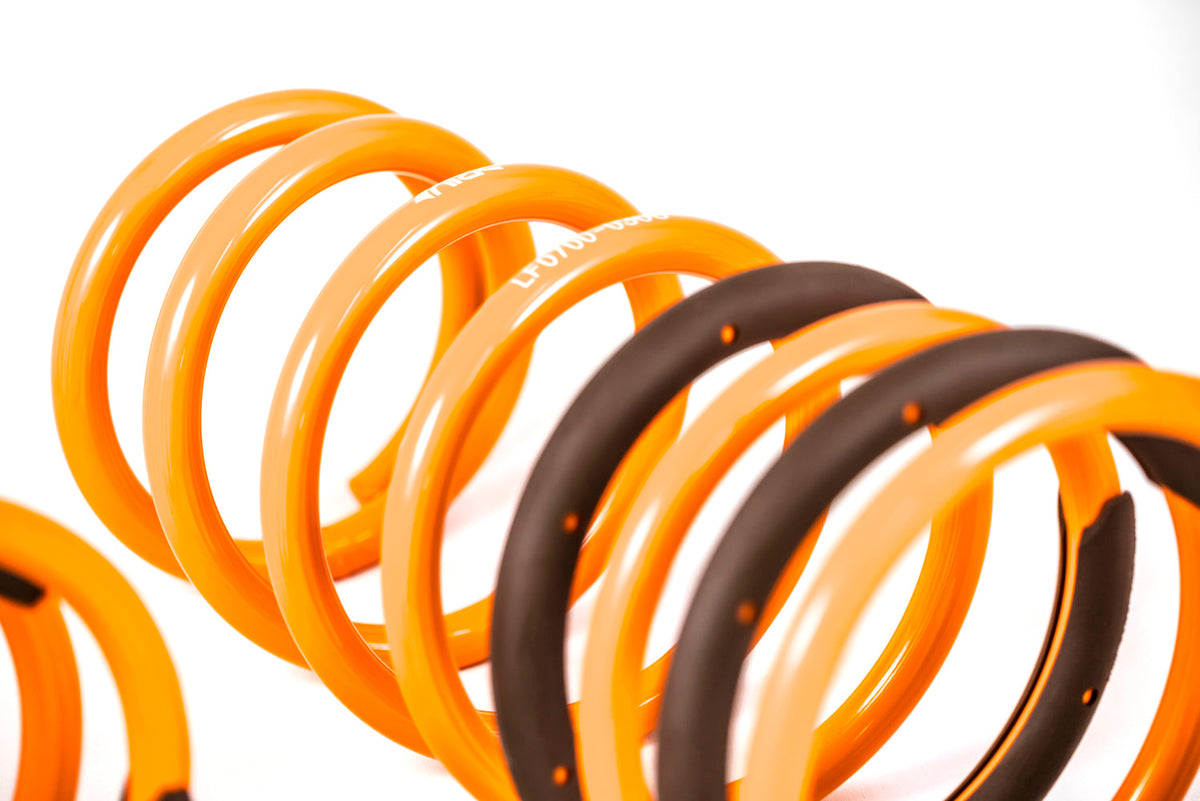 2003-2008 Hyundai Tiburon GT-F Lowering Springs (Clearance Item)