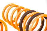 2003-2008 Hyundai Tiburon GT-F Lowering Springs (Clearance Item)