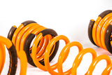 2008-2016 Mitsubishi EVO X GT-F Lowering Springs (Clearance item)