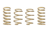 2015-2021 Ford Mustang GT-S Lowering Springs (Clearance Item)