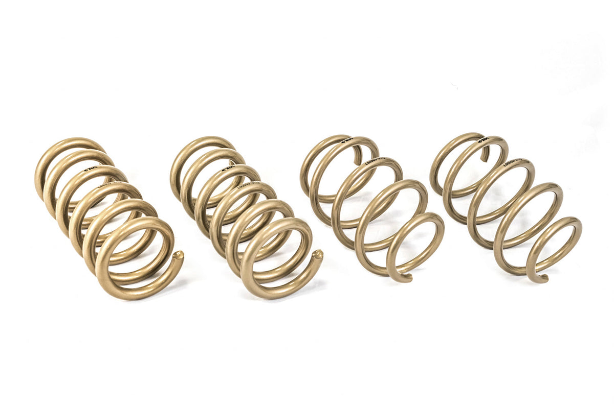 2015-2021 Ford Mustang GT-S Lowering Springs (Clearance Item)