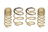 2016-2021 Honda Civic Hatchback | Coupe | Sedan GT-S Lowering Springs - ARK Performance