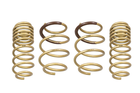 2016-2021 Honda Civic Hatchback | Coupe | Sedan GT-S Lowering Springs - ARK Performance
