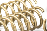 2009-2013 Hyundai Genesis Sedan GT-S Lowering Springs