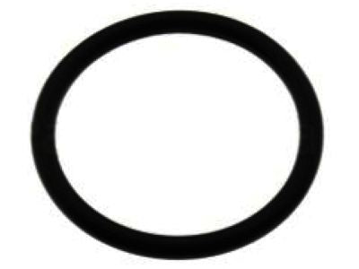 21049-AE000 Nissan Water Inlet O-Ring Product Photo 2 of 2