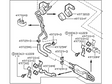 49790-EV00A Nissan Power Steering Return Hose Illustration 1 of 1
