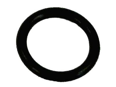 22131-EN205 Nissan Camshaft Sensor O-Ring Product Photo 1 of 1