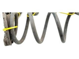 55020-AM810 Nissan Rear Suspension Spring Product Photo 3 of 3
