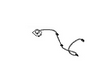 25975-CD001 Nissan Antenna Assembly Illustration 1 of 1
