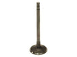 13202-8J10A Nissan Exhaust Valve Product Photo 1 of 2