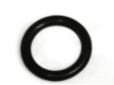 92472-N823A Nissan Rear Suction Hose O-Ring Product Photo 1 of 3