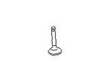 13201-4W001 Nissan Intake Valve Illustration 1 of 1