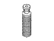 55240-CF40A Nissan Bumper Illustration 1 of 1
