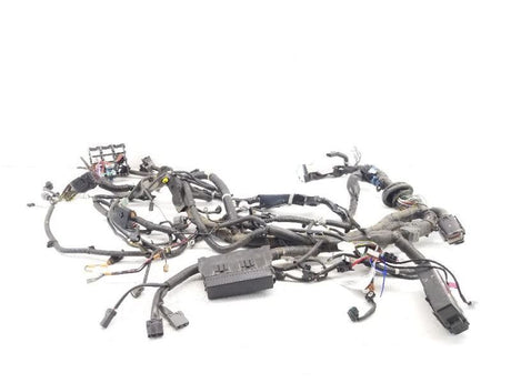 HEADLAMP WIRING HARNESS