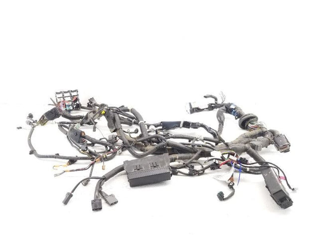 HEADLAMP WIRING HARNESS