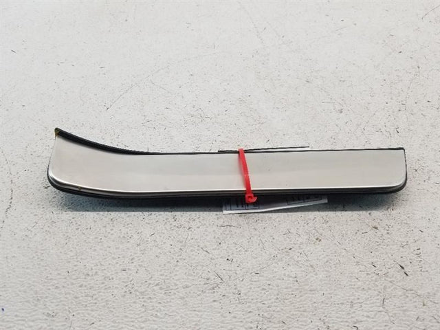 R/R INT DOOR KICK PLATE