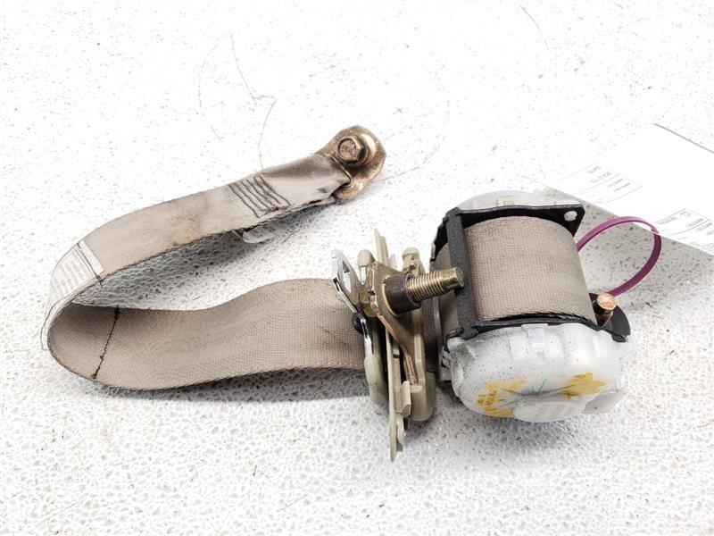 CPE- R/R SEAT BELT - SAGE(S)