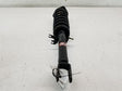 F/L SUSPENSION STRUT