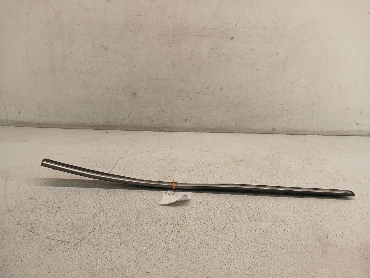 F/L LOWER DOOR MOULDING